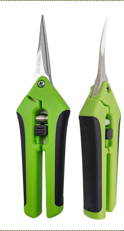 s-cateur-de-pr-cision 1